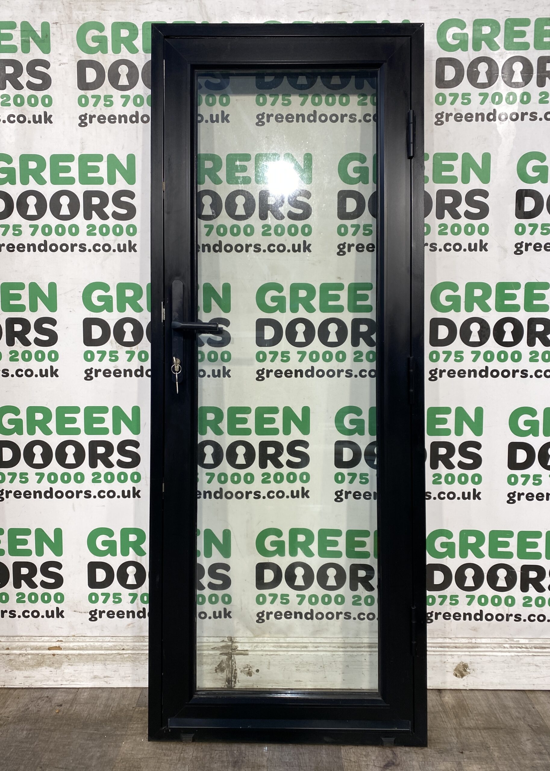 SHORT THIN BACK DOOR ALUMINIUM EXTERNAL EXTERIOR ALL GLASS BLACK NARROW SMALL